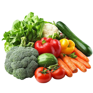 Sayur Hortikultura
